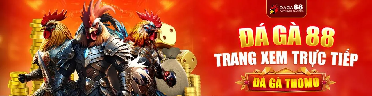 winvn176 trên thiết bị di động